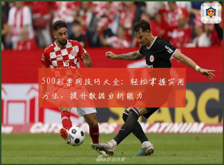 500彩票网技巧大全：轻松掌握实用方法，提升数据分析能力