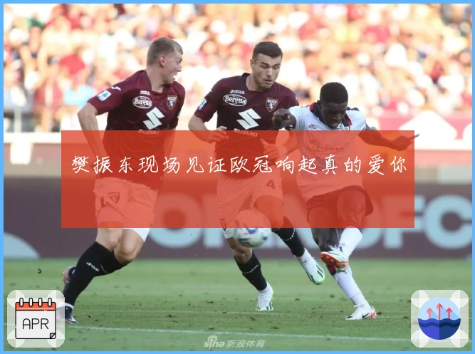 樊振东现场见证欧冠响起真的爱你