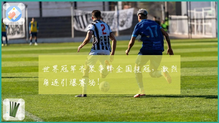 世界冠军齐聚争锋全国桂冠,激烈角逐引爆赛场!