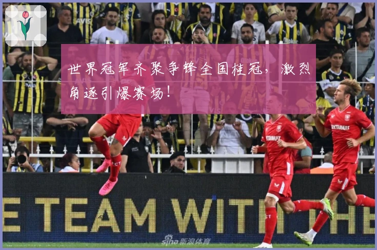 世界冠军齐聚争锋全国桂冠，激烈角逐引爆赛场！