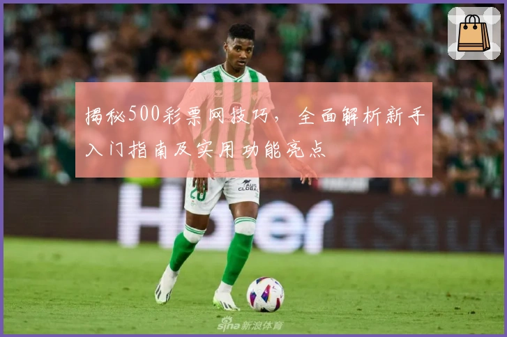 揭秘500彩票网技巧,全面解析新手入门指南及实用功能亮点