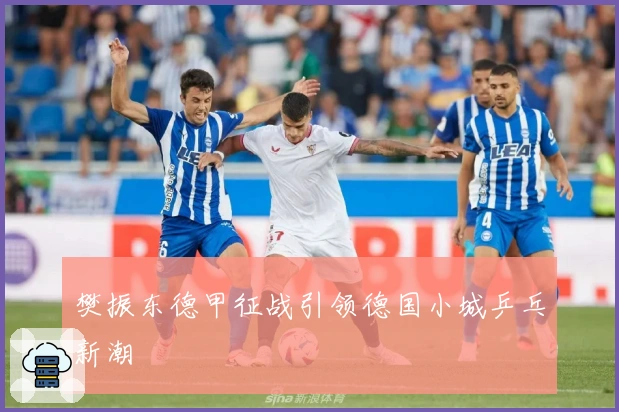 樊振东德甲征战引领德国小城乒乓新潮